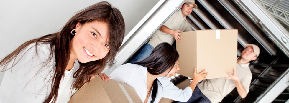 Professional Removalists Drouin